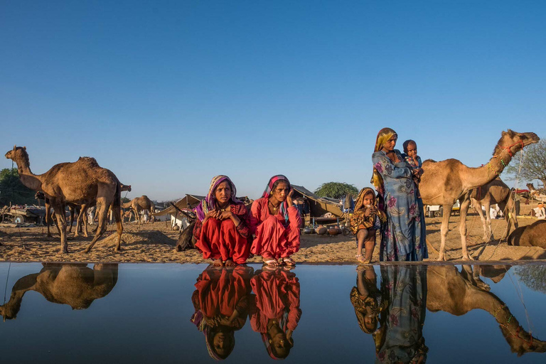 Från Jaipur: Privat guidad tur i Ajmer och PushkarPrivat guidad tur i Ajmer och Pushkar