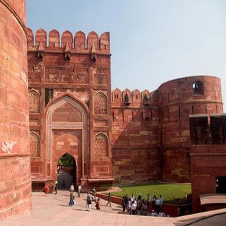 From Delhi: Trip to Taj Mahal, Wildlife SOS and Agra Fort
