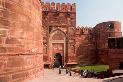 Z Delhi: Wycieczka do Taj Mahal, Wildlife SOS i Agra FortWycieczka bez obiadu