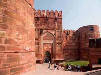 Von Delhi: Ausflug nach Taj Mahal, Wildlife SOS und Agra Fort Von Delhi: Ausflug nach Taj Mahal, Wildlife SOS und Agra Fort