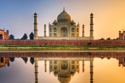 From Delhi: Trip to Taj Mahal, Wildlife SOS and Agra FortDay tour from delhi