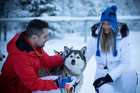 Levi: Private Husky Sledding Experience