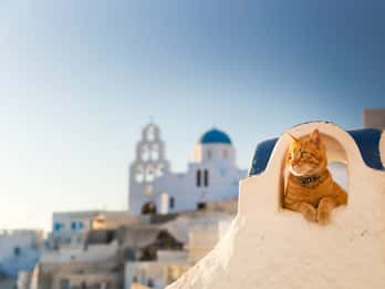 Santorini: Privat 4 timmars chaufförsservice