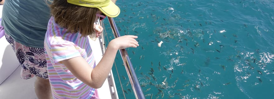 Mahé : récifs du parc marin de Sainte Anne, safari et déjeuner