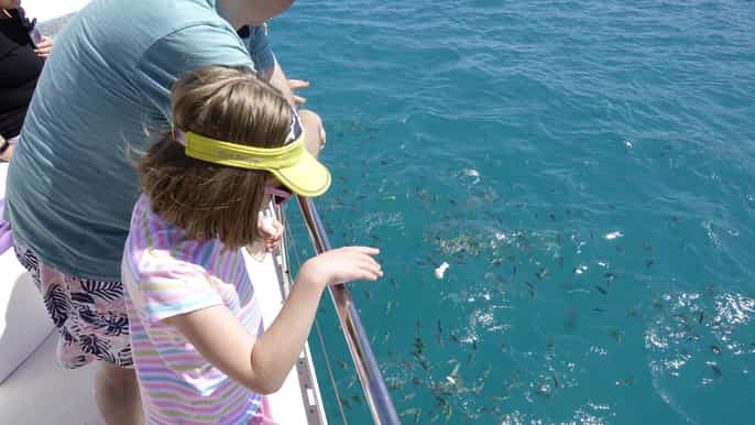 mahe reef safari at st anne marine national park