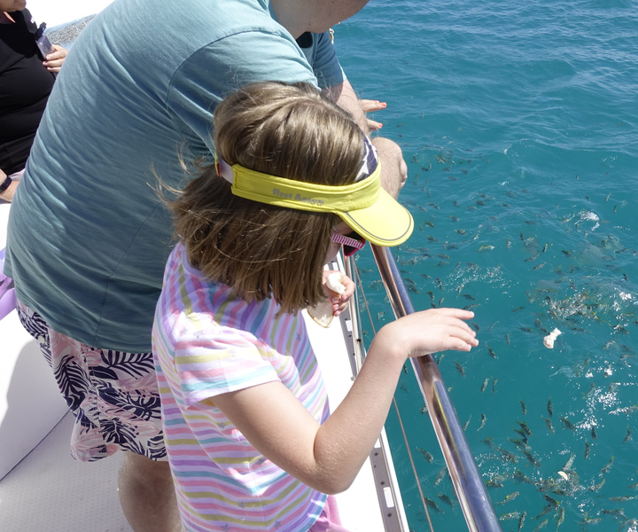 Mahe: St. Anne Marine National Park Riffsafari mit Mittagessen