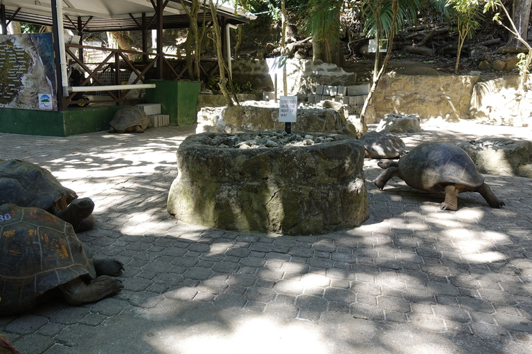 Mahe: Safari por los arrecifes del Parque Nacional Marino de Santa Ana con almuerzoMahe: Safari por los arrecifes en el Parque Nacional Marino de Santa Ana