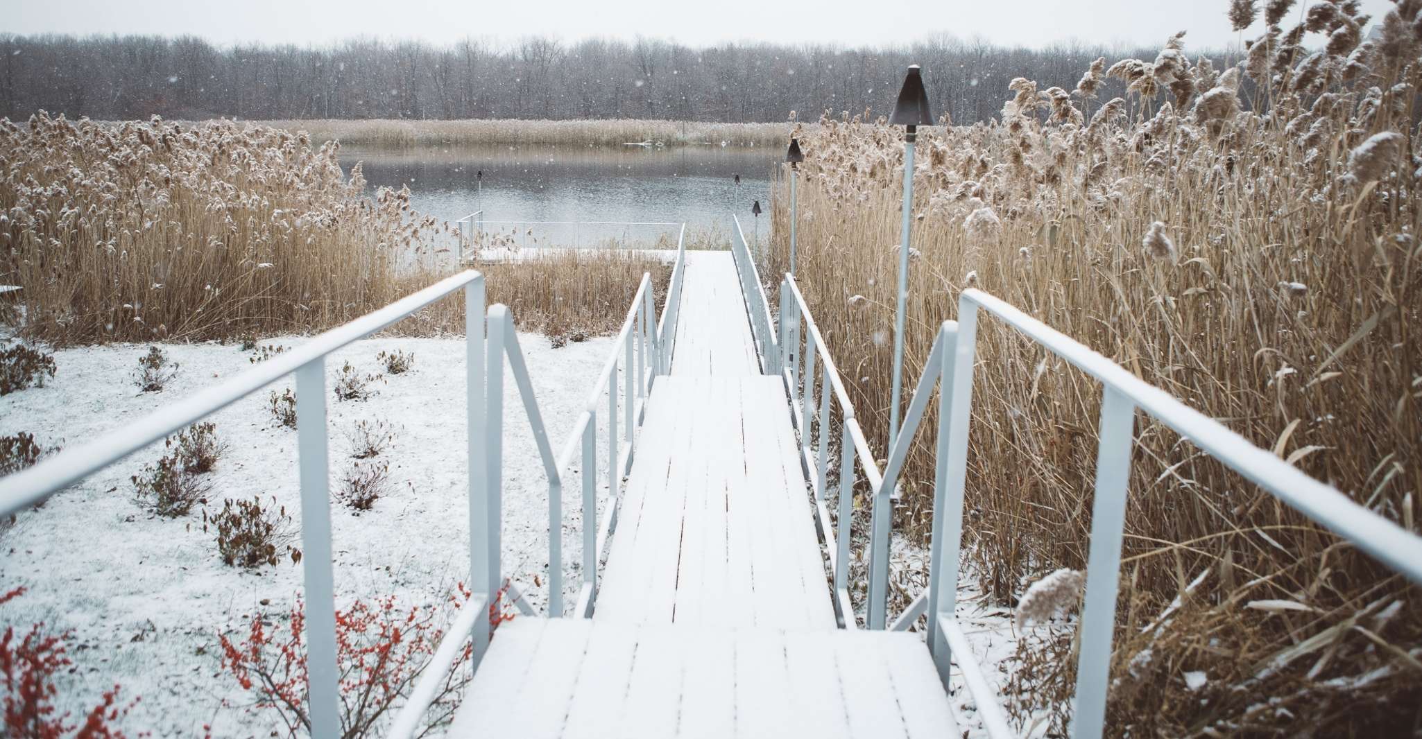 Montreal: Nordic Spa Thermal Experience photo 11