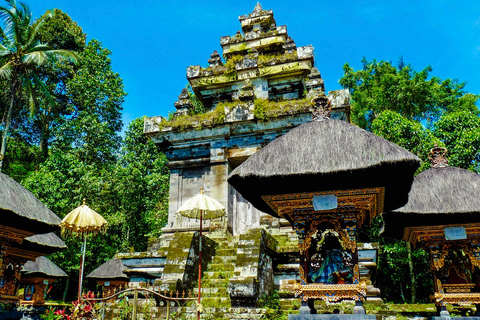 Bali: clase de yoga y ritual privado de agua de un día completo