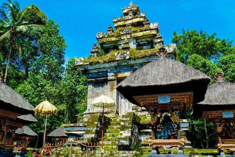 Bali: Ritual privado de dia inteiro no templo da água e aula de ioga