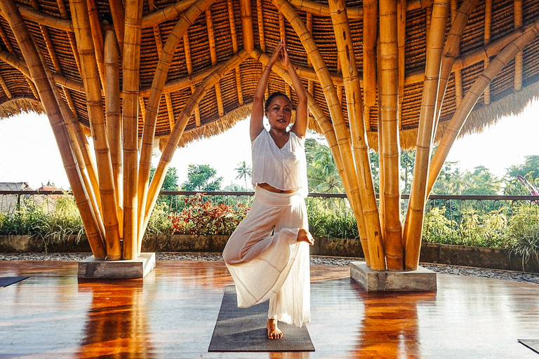 Bali: Ritual privado de dia inteiro no templo da água e aula de ioga