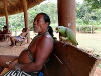 Panama City, Embera Tour indigeno della tribù e del fiume con pranzo - Hizvo