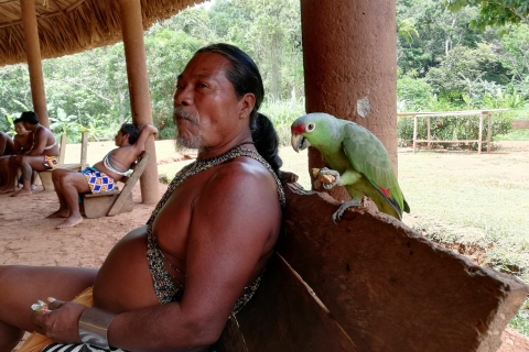 Panama: Private Tour durch das indigene Dorf Embera
