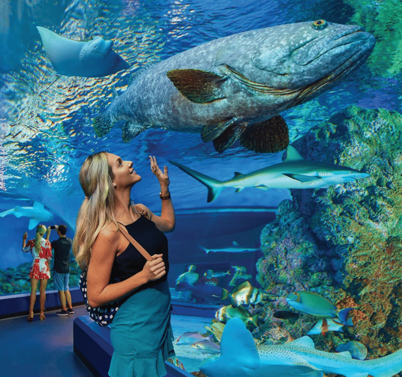 Cairns Aquarium General Admission Ticket
