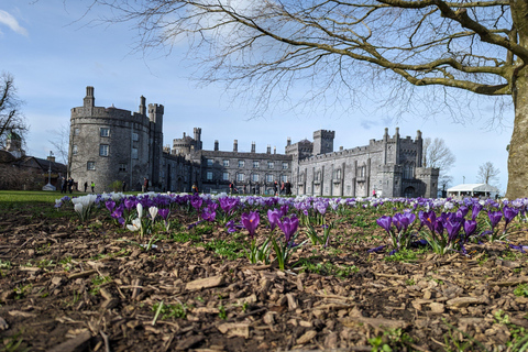 Kilkenny: visite à pied des points forts historiquesVisite en anglais