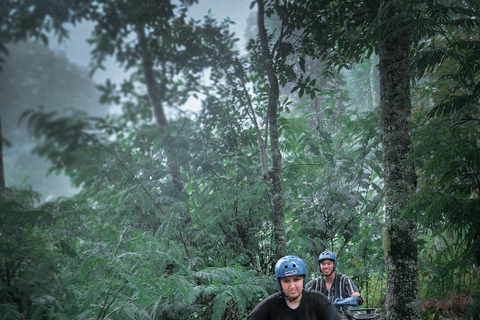 Bali: Dolphin Swimming Tour with ATV Quad Bike & Waterfall Dolphin, Waterfall, Tandem ATV Bike (Central & South Bali)