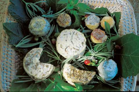 Avignon: Luberon Valley Tour with Wine and Cheese Tasting