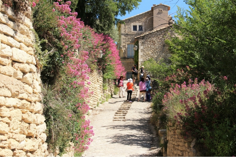 Avignon: Luberon Valley Tour with Wine and Cheese Tasting