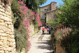 From Avignon: Half-Day in les Alpilles