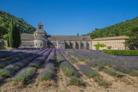 From Avignon: Full-Day Experience in Luberon with Lunch