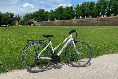 Lucca: Trekking Bike Rental