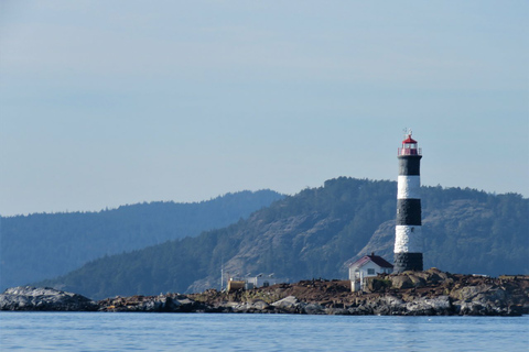 Victoria: Covered Whale Watching Adventure with Free Photos Victoria: Half-Day Whale Watching Adventure with Free Photos
