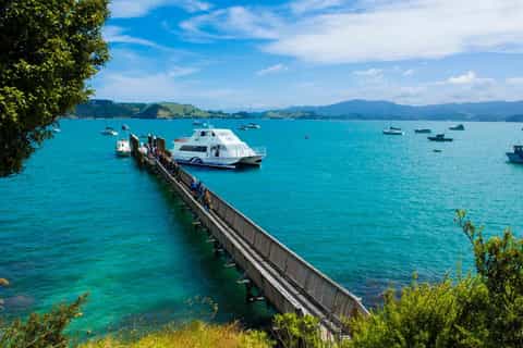 from auckland 2day coromandel discovery package