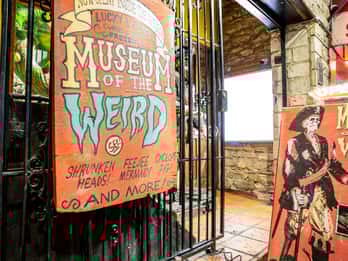 Austin: Haunted History Ghost Tour Austin: Haunted History Ghost Tour
