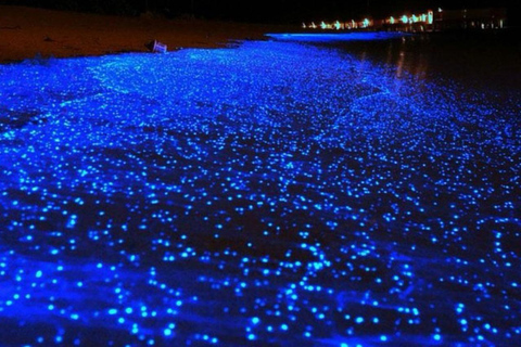 Krabi : tour en bateau à longue queue sur 7 îles avec coucher de soleil