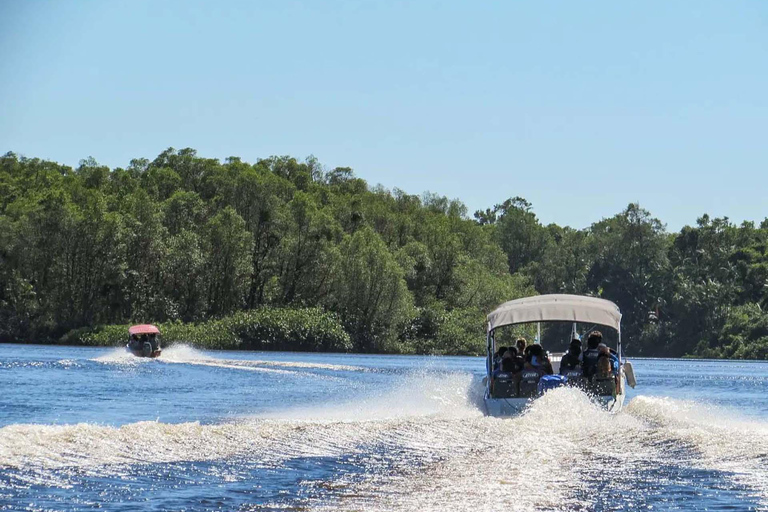 Rio Preguiças: Monkeys, Lighthouse & Caburé Beach