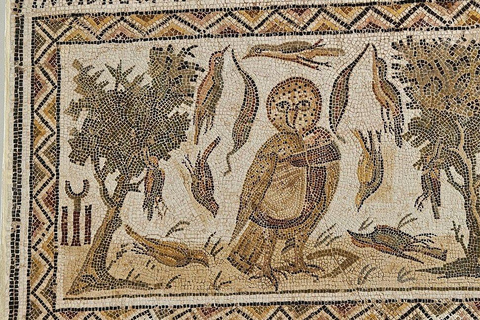 From Hammamet/Sousse: Amphitheatre Visit (All inclusive) From Sousse/Monastir: Amphitheatre Visit (All inclusive)