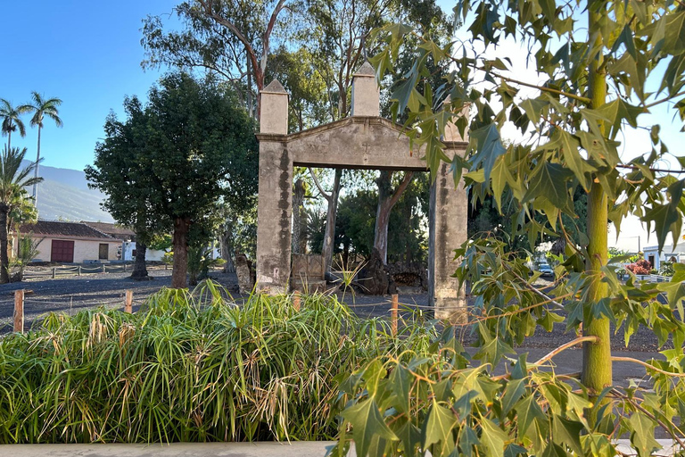 La Palma: tour dello zuccherificio Argual e della Casa Poggio MaldonadoLa Palma: visita allo zuccherificio Argual e alla Casa Poggio Maldonado