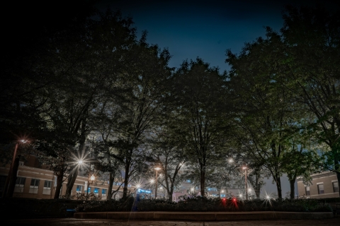 Chicago: Ghosts of Lincoln Park-wandeltochtStandaard rondleiding van 1 uur