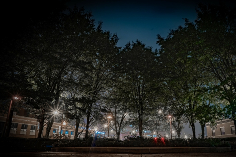 Chicago: Ghosts of Lincoln Park Walking TourStandardowa 1-godzinna wycieczka