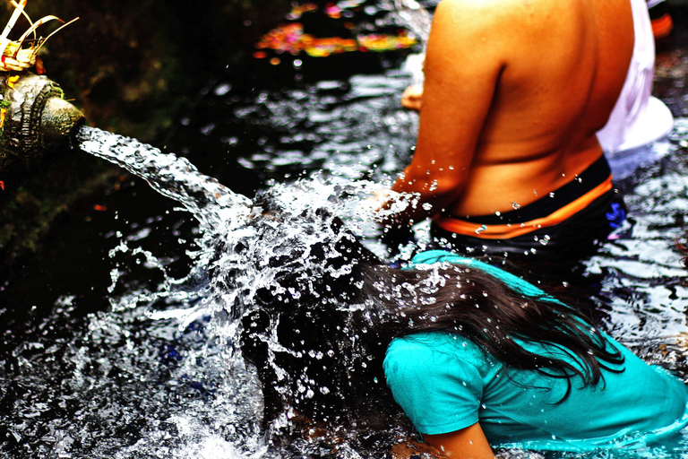 Ubud: retraite de bien-être avec massage, cours de yoga et déjeuner