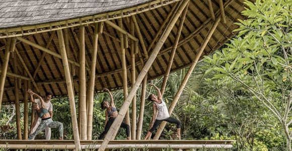 Ubud: Wellness Retreat with Massage, Yoga Class, and Lunch