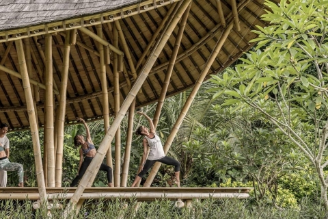 Ubud: Wellness-Retreat mit Massage, Yoga-Kurs und Mittagessen