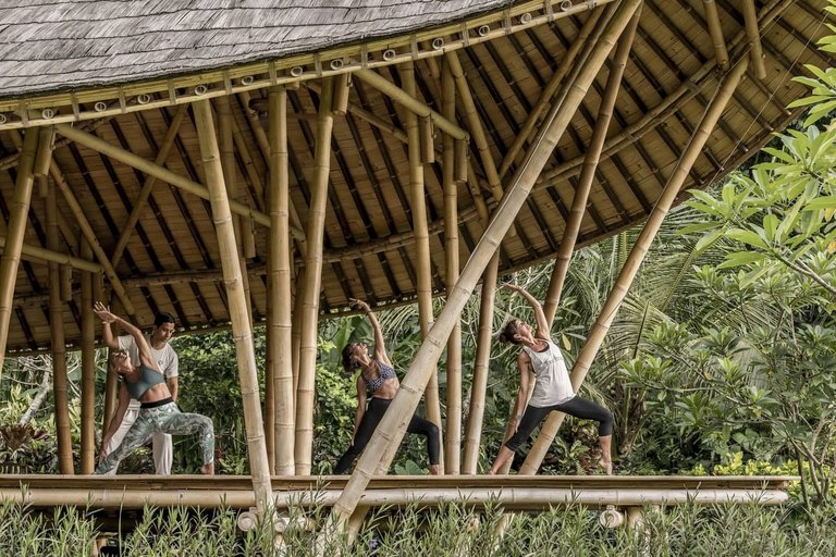 Ubud: retraite de bien-être avec massage, cours de yoga et déjeuner