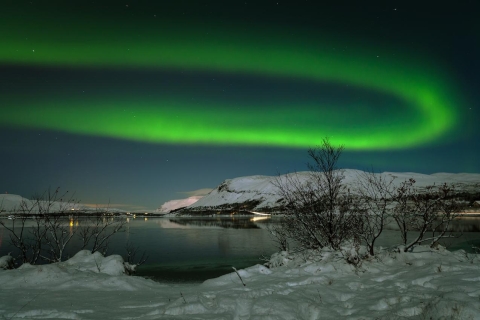 Desde Reikiavik: tour de la aurora boreal en autobúsAurora boreal y estrellas: tour de 3 h con traslado al hotel