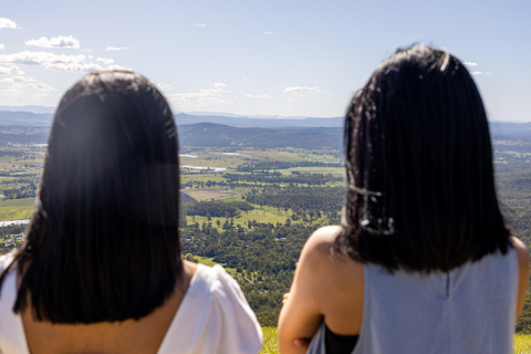 Brisbane: Hop on Hop off-buss till Tamborine Mountain