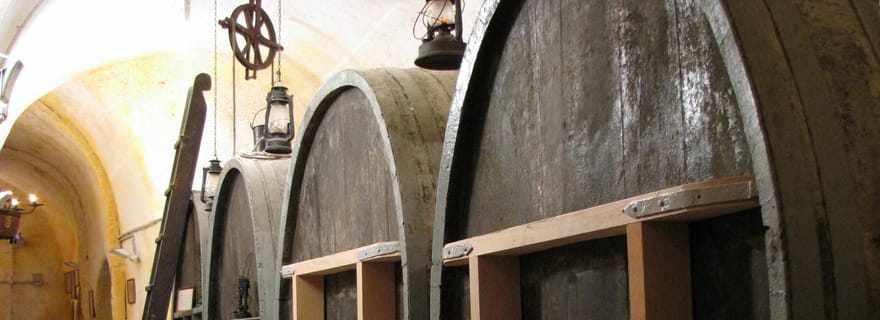 Vothonas : Billet pour le musée du vin avec dégustations et audioguide