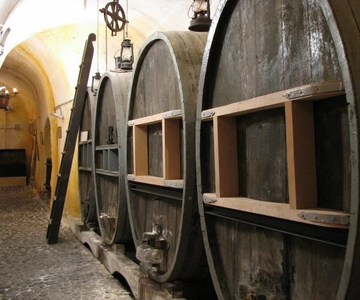 Wine Museum Ticket with Tastings and Audio Guide