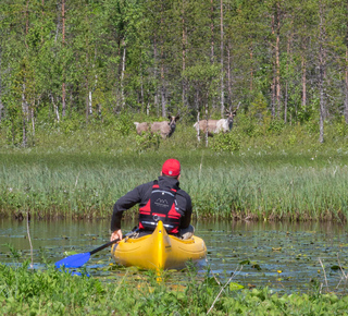 Canoeing in Rovaniemi