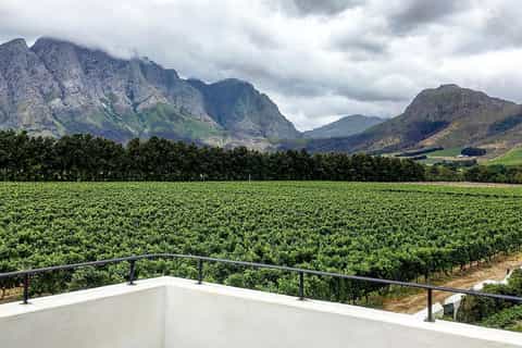 From Cape Town: Franschhoek Vineyards Bike Tour with Lunch