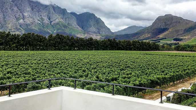 da cidade do cabo passeio de bicicleta pelos vinhedos de franschhoek com almoço