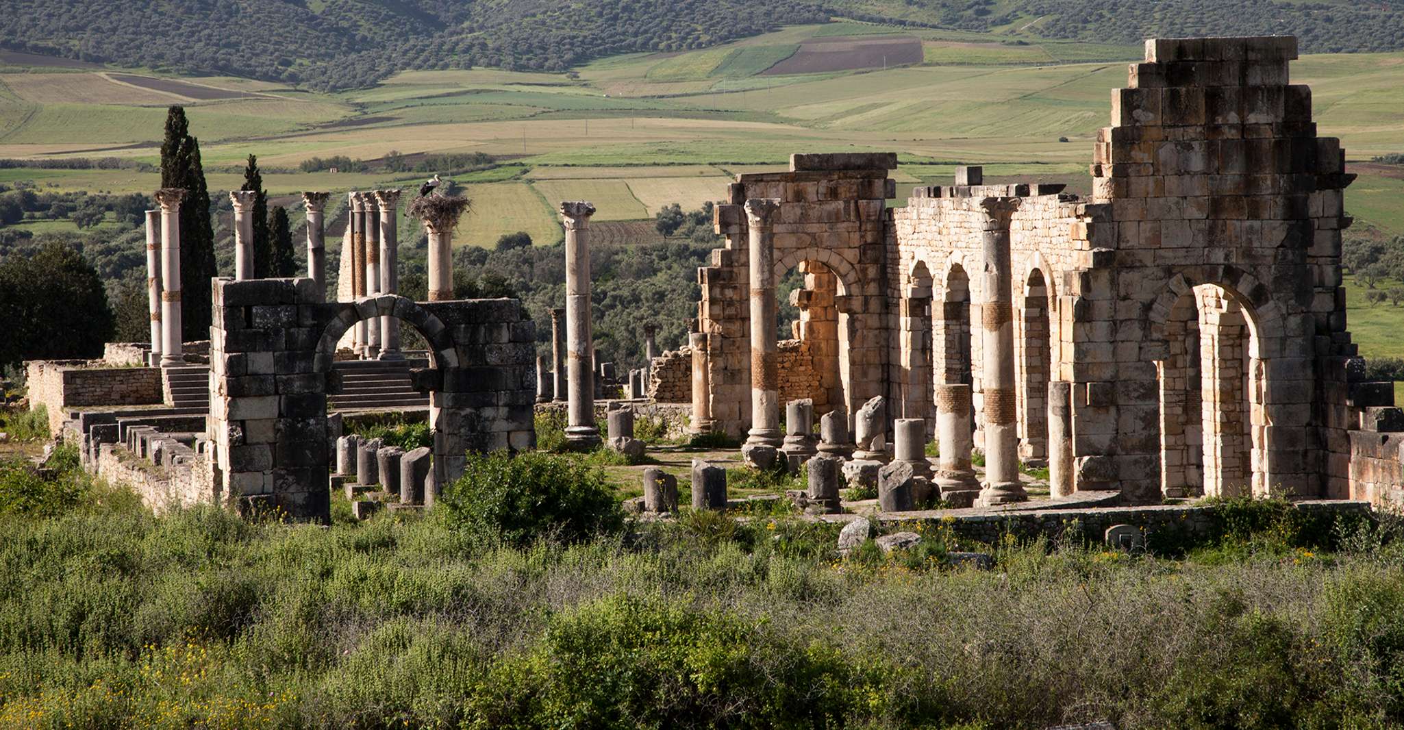 从拉巴特、沃卢比利斯和梅克内斯全天游 - Hizvo