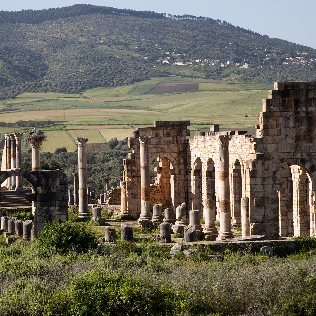 Au départ de Rabat : Excursion d'une journée à Volubilis et Meknès