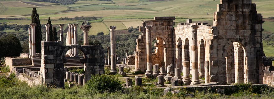 Au départ de Rabat : Excursion d'une journée à Volubilis et Meknès