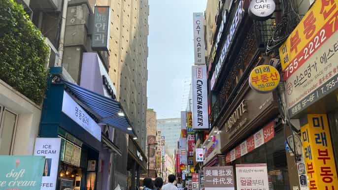 seul caminhada matinal de 3 horas até myeongdong e hanok village