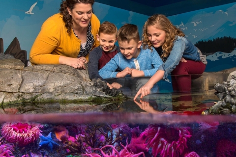 Rêve américain : billet d'entrée à l'aquarium SEA LIFE®